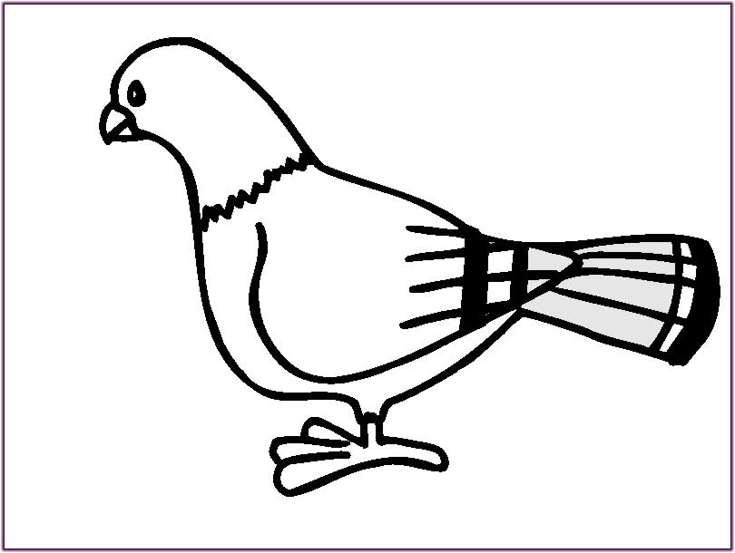 Bird Outline - Cliparts.co