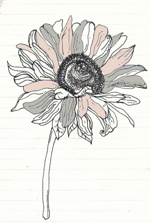 Flower Line Drawing | Flickr - Photo Sharing!