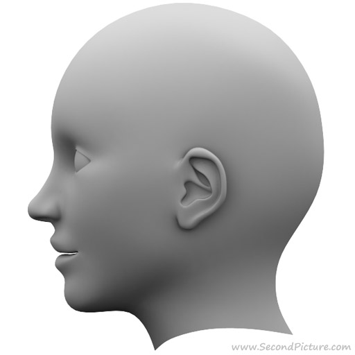 Modeling human head in 3DS MAX