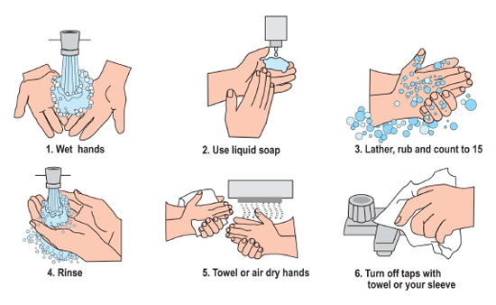 Techniques on How to Wash Your Hands