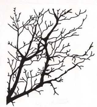 Picture Of A Tree With Branches - ClipArt Best