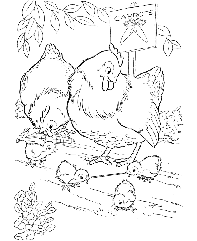 Baby Chicken Coloring Pages - AZ Coloring Pages