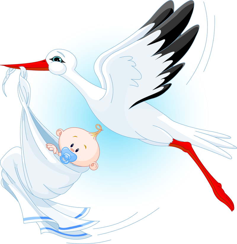 Stork Carrying A Baby Vector - Free Vector Download | Qvectors.