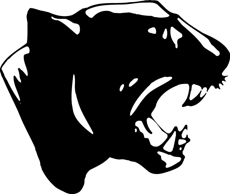 Panther Mascot Images & Pictures - Becuo