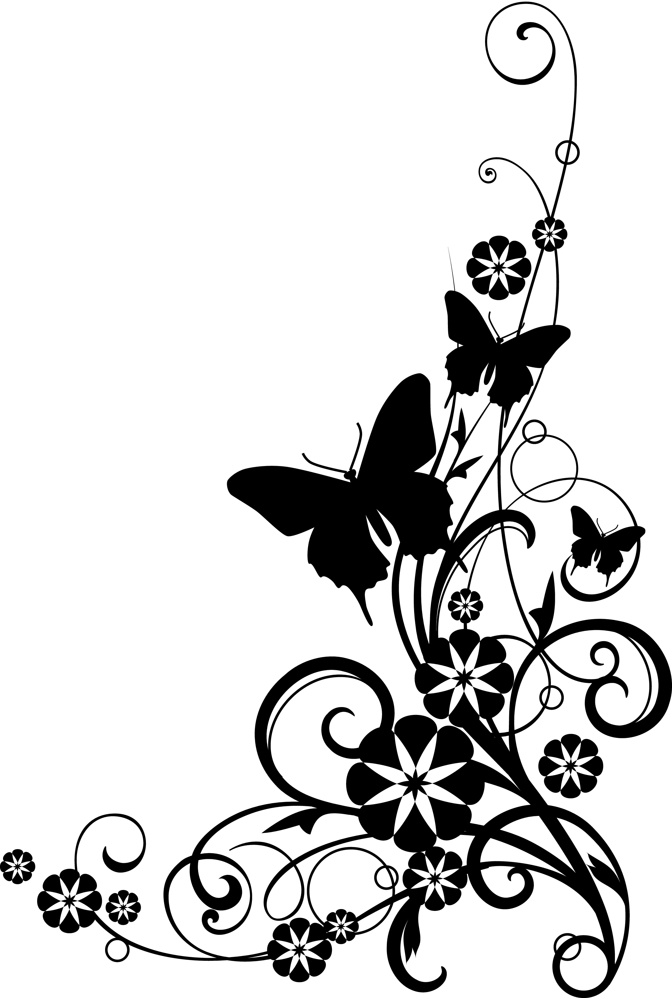 Clip Art Flowers Black And White Border - ClipArt Best