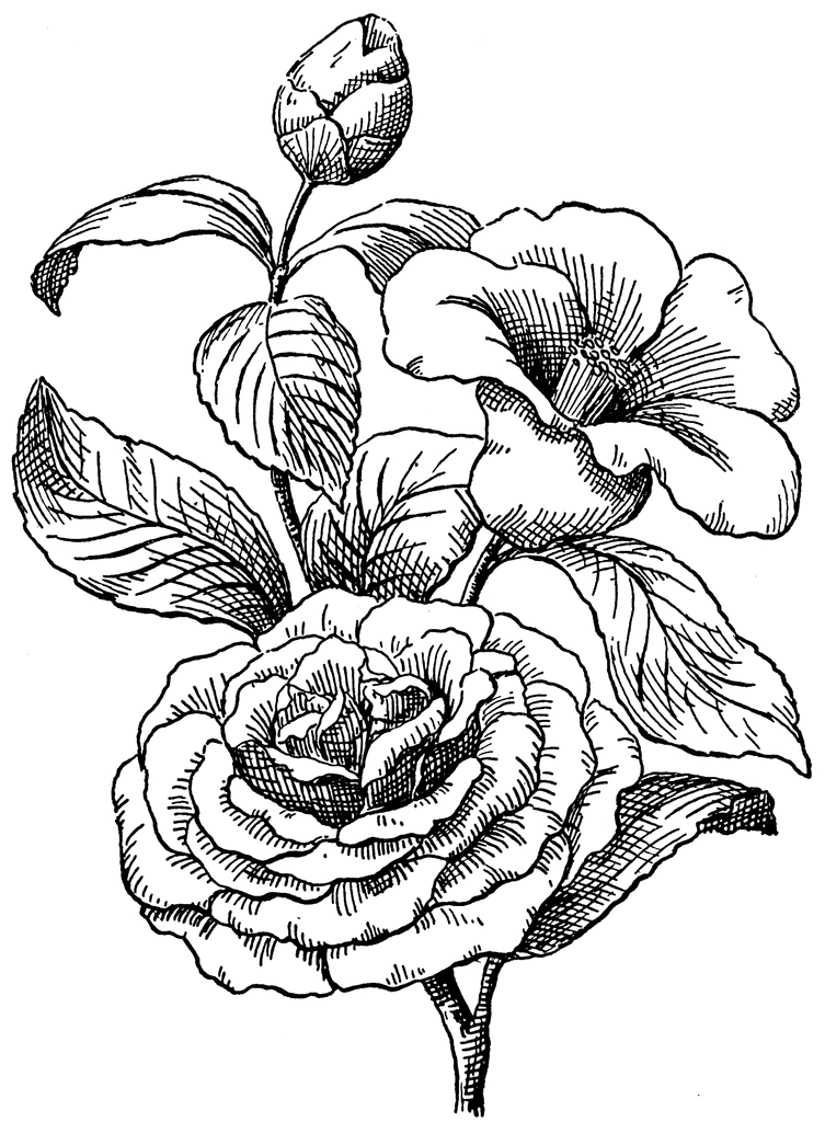 Camellia Flower Tattoo