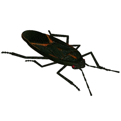Cockroach Clipart | Clipart Panda - Free Clipart Images