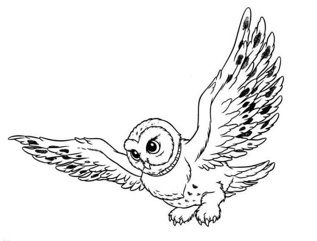 Images For > Flying Snowy Owl Clipart