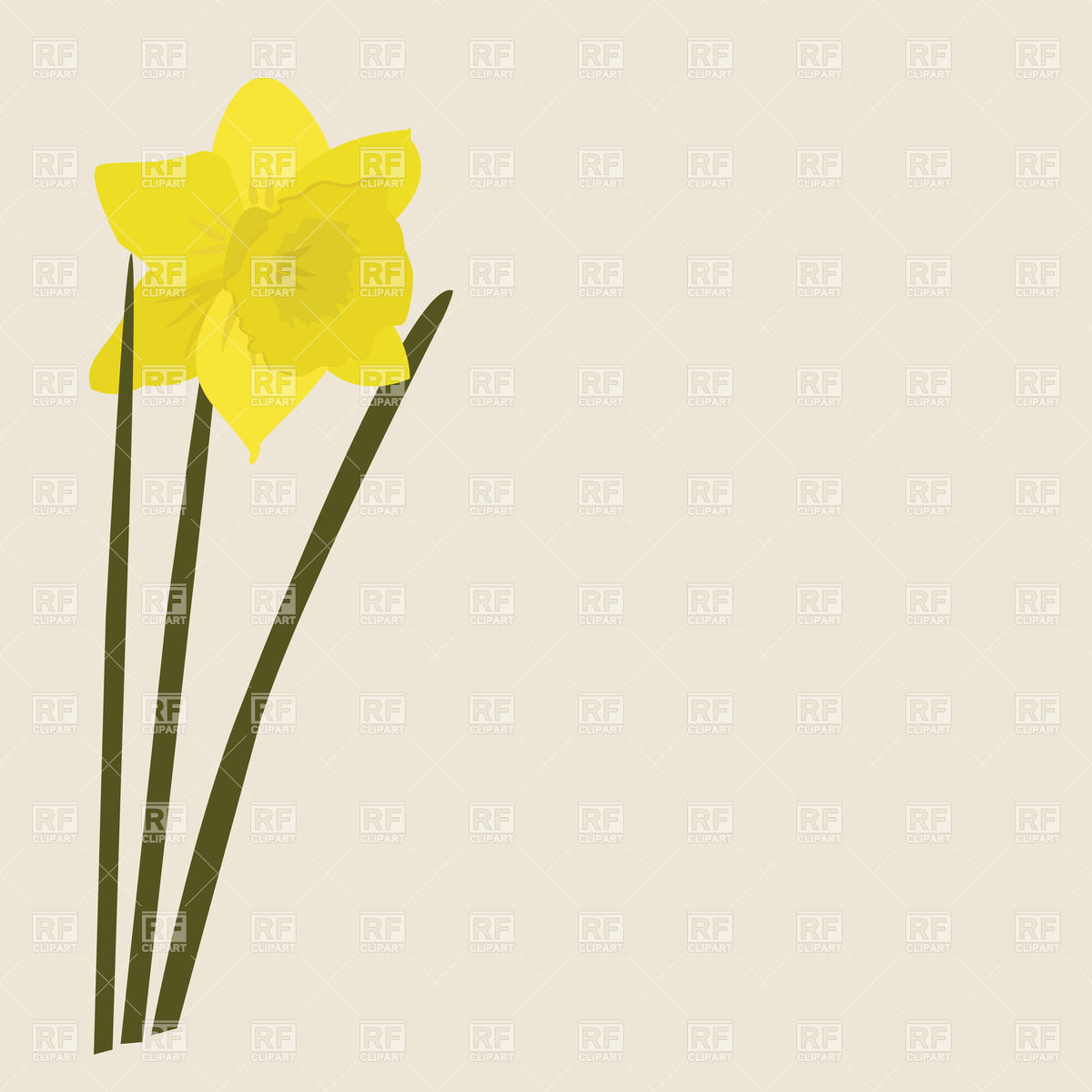 Daffodil - yellow narcissus, Plants and Animals, download Royalty ...