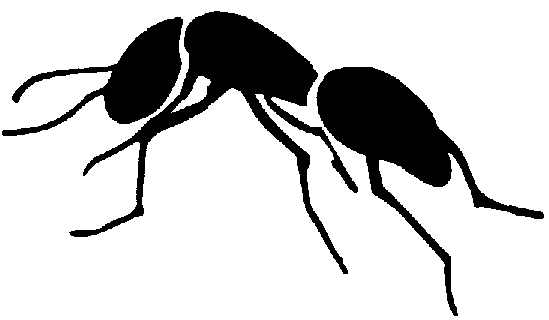 Ant Clipart Black And White - ClipArt Best