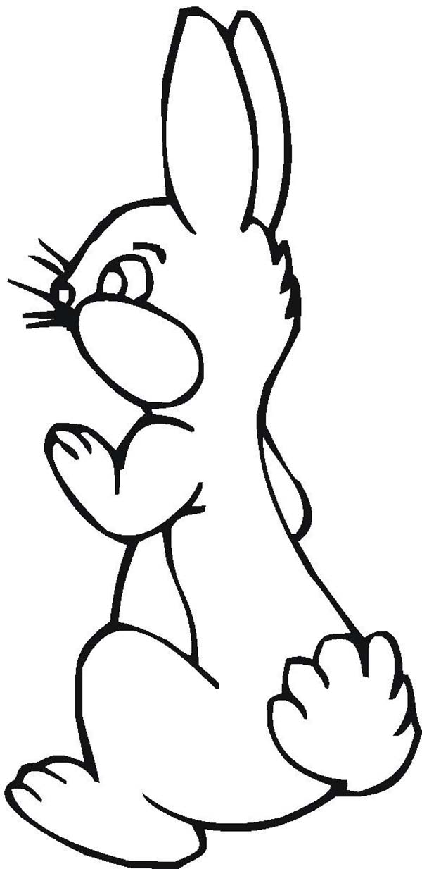 Kids Drawing of Bunny from the Back Coloring Page - Download ...