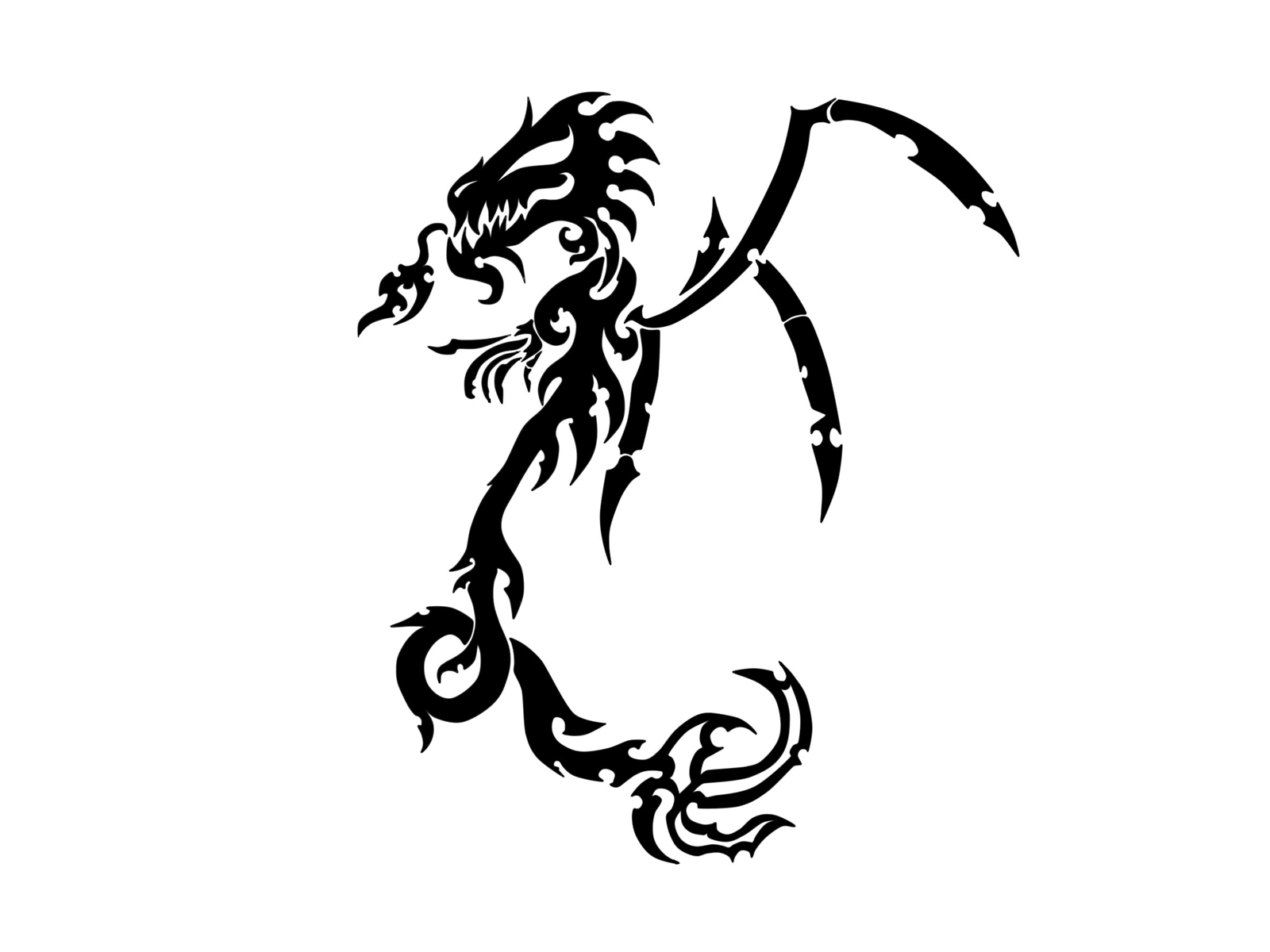 Free designs - Skeleton of dragon tattoo wallpaper