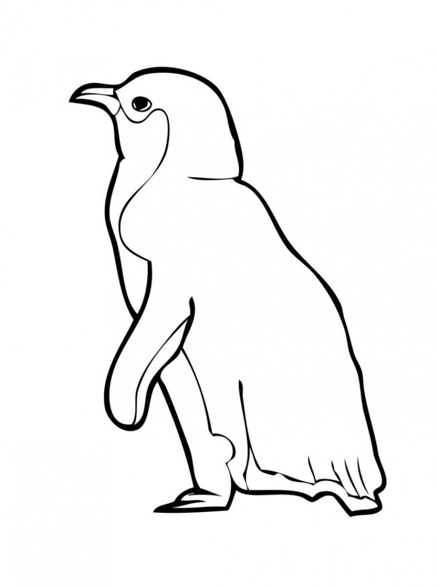 Маленький Пингвин раскраска