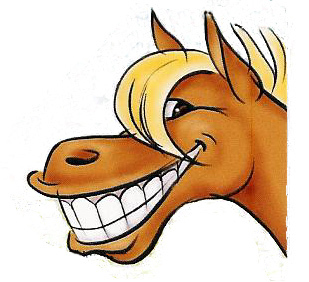 Pix For > Cute Cartoon Horse Face