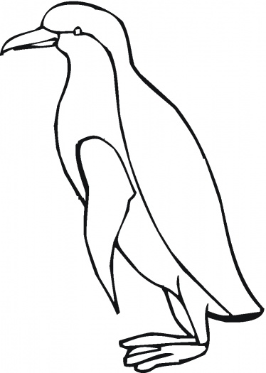 Coloring Pages Of Penguins - ClipArt Best