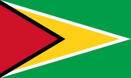 Flag Of Guyana clip art - Download free Other vectors