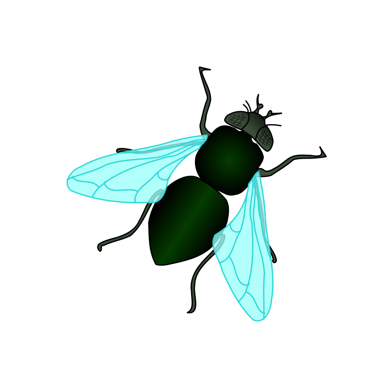 clipart of house fly - photo #8