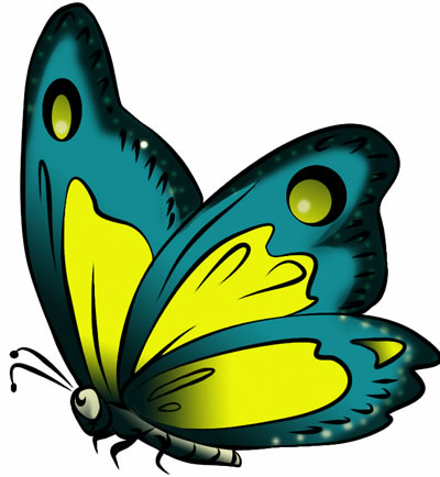 Missass Butterfly