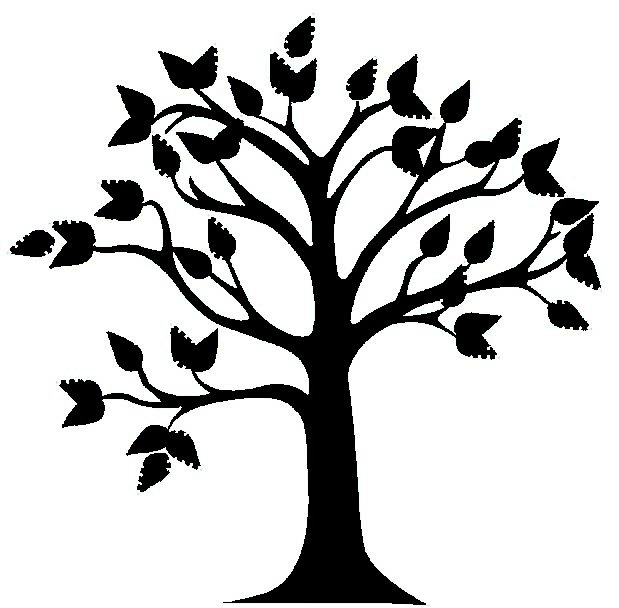 Family tree mural ideas on Pinterest