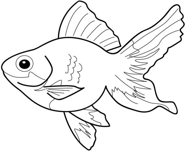 Related Pictures Fish Kids Coloring Pages Fish Coloring Free Kids ...
