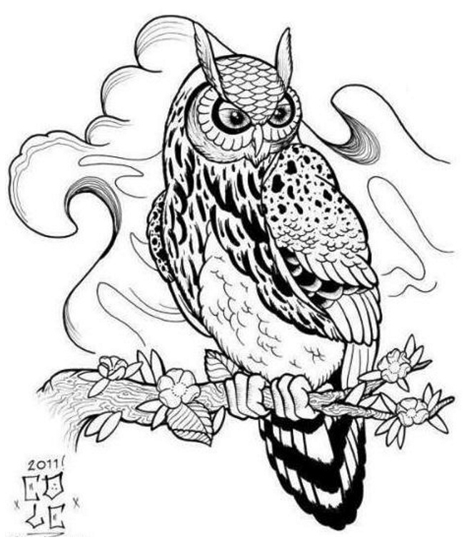 Owl Tattoo Designs Drawings, ] ~ Popular Tattoo Design