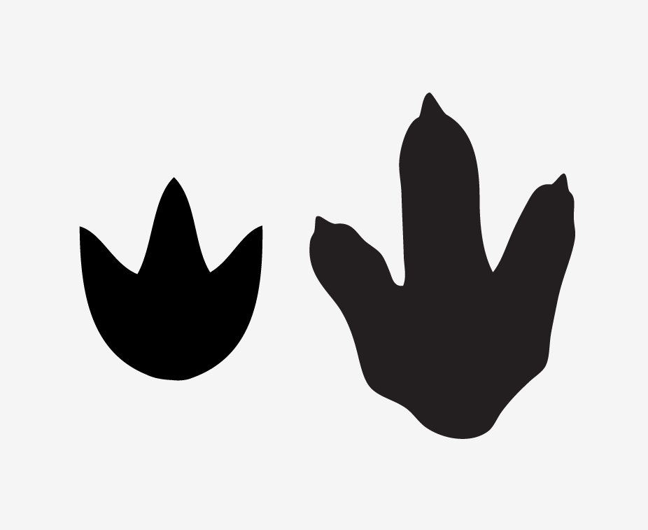 Dinosaur Footprint Template Cliparts co