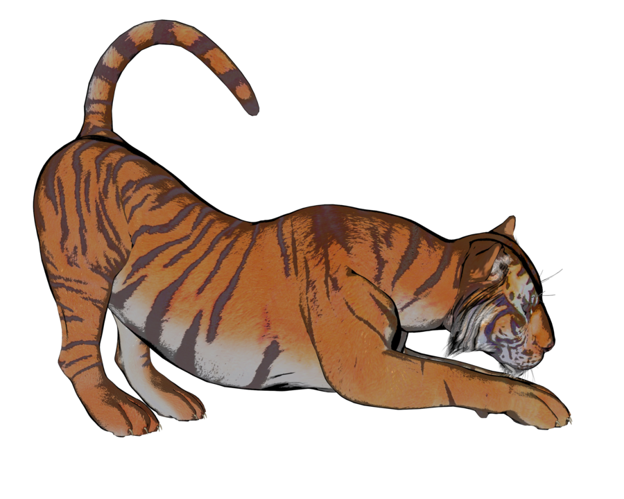 Tiger pose 3 of a gazillion by madetobeunique on deviantART