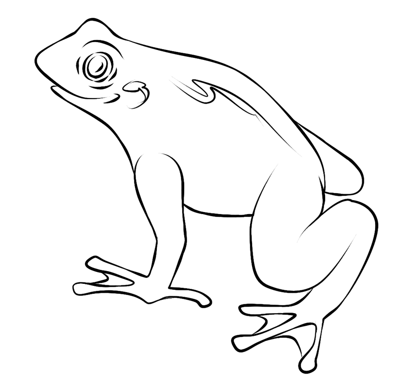 Frog Outlines Cliparts.co