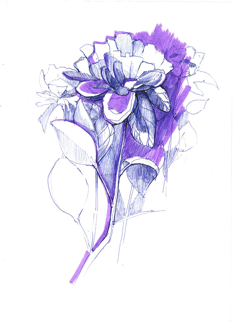 Flower sketch by Jasmine512 on DeviantArt