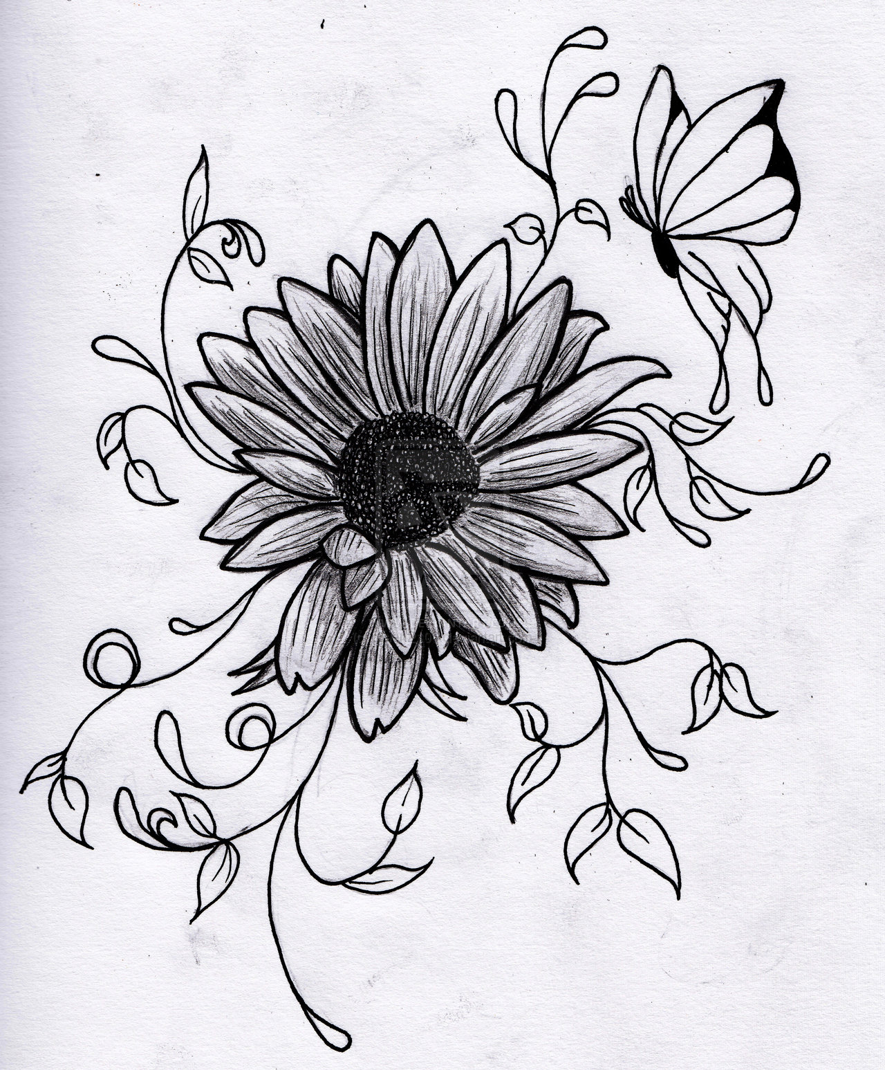 Flowers Drawings - Good Flower Pictures