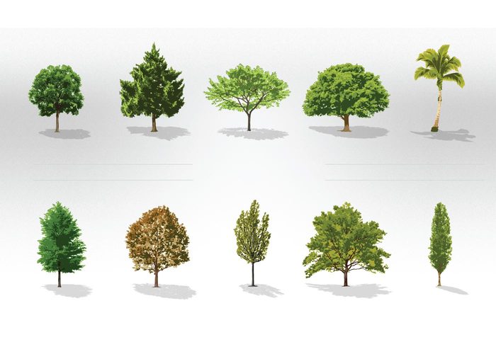 Free Trees Vector Collection Pack