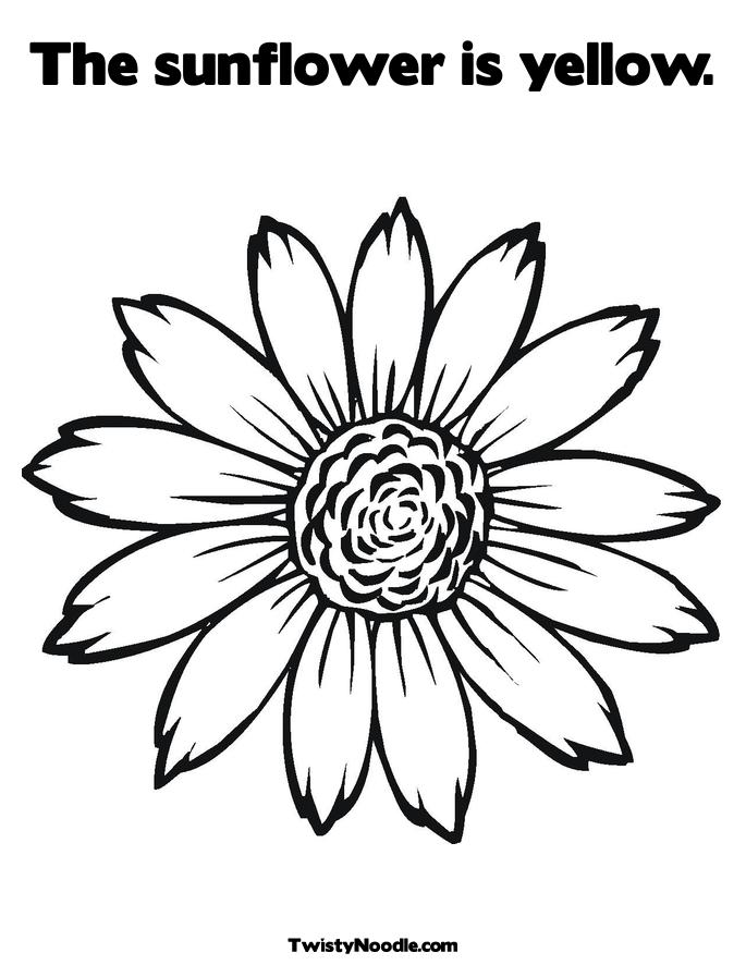 COLORING PAGE SUNFLOWER « ONLINE COLORING
