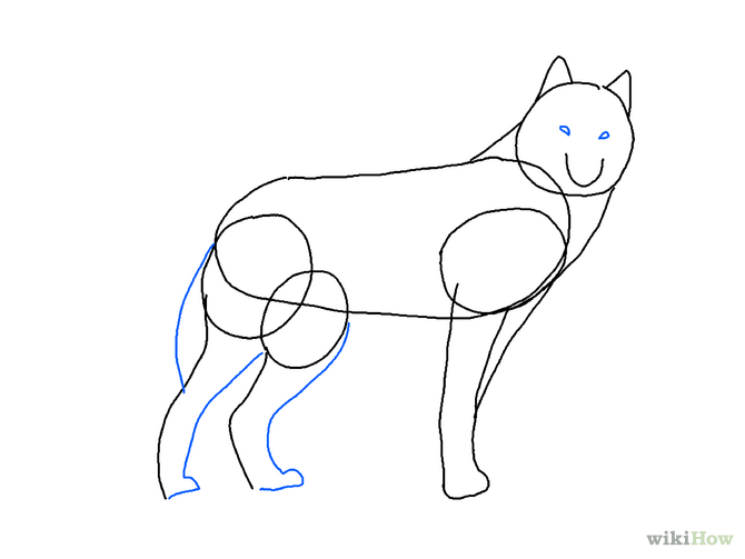 4 Ways to Draw a Wolf - wikiHow