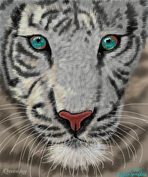White Tiger ← an animals drawing by Kutedymples in group „Animal ...