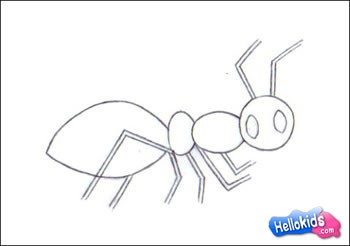 Como desenhar - ANIMAIS - Como desenhar uma formiga