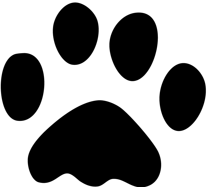 Paw Prints Jungle Animals Wall Stickers Wall Art Decal Transfers ...