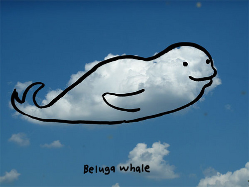RANCHO COCOA: Cloud Drawings - Beluga Whale And Slug