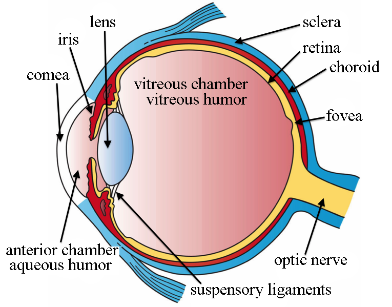 Eye diagram showing the "comea" : badkerning