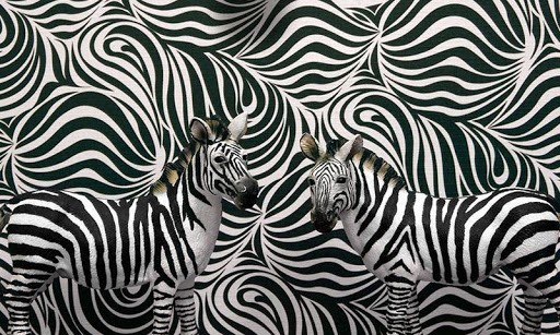 Zebra Print HD Live Wallpaper for Android by aashu