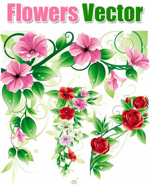 Flower patterns vector 2 | Free Vector Graphics & Art Design Blog