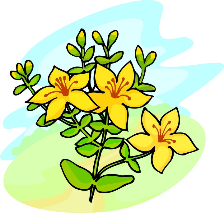 May Flowers Clip Art