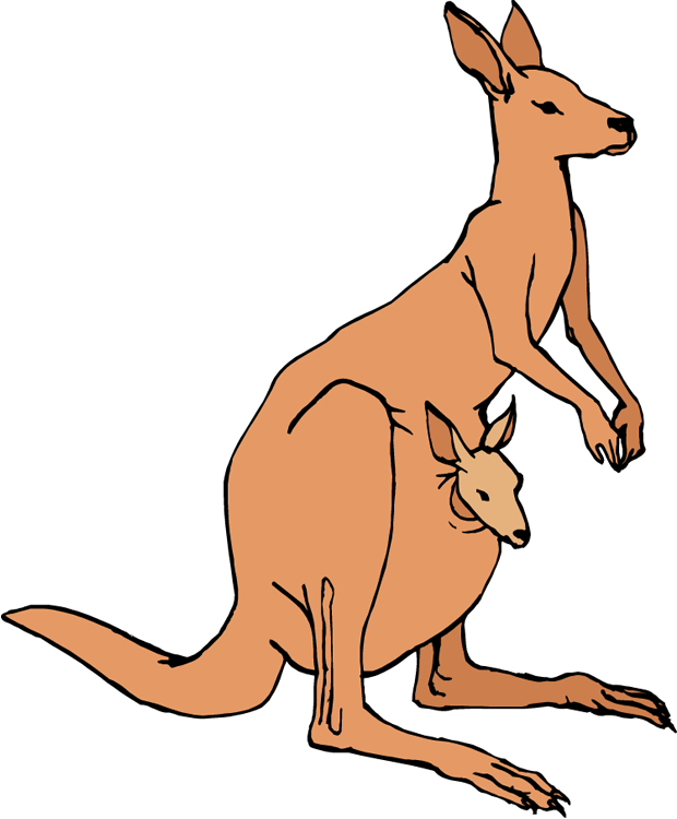 Free Kangaroo Clipart