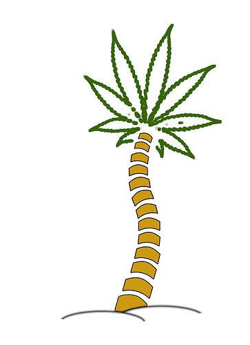 marijuana palm | Flickr - Photo Sharing!