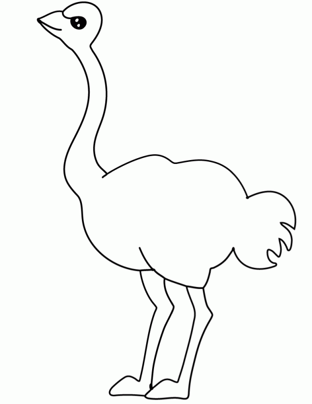 Free Printable Ostrich Coloring Page 282788 Ostrich Coloring Page