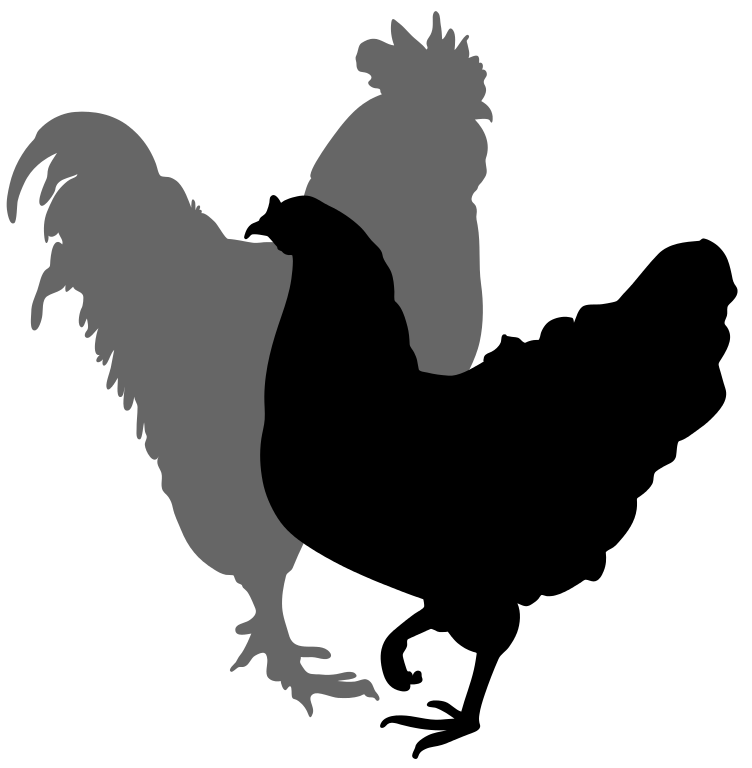 File:Rooster and hen silhouette 02.svg - Wikimedia Commons