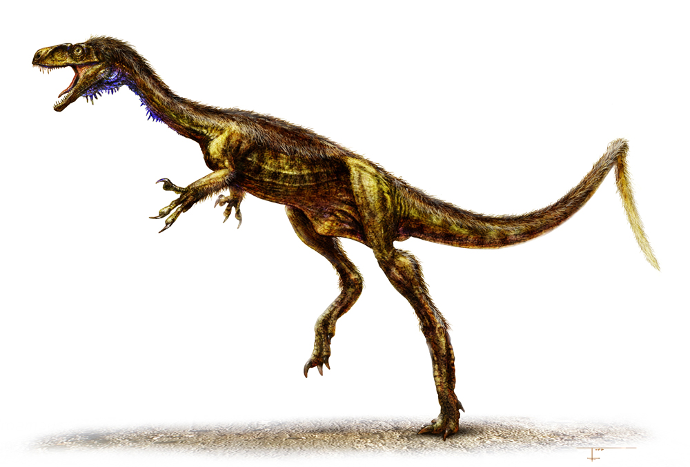 Dawn Runner' Fossil Sheds Light On Early Dinosaurs - Science News ...