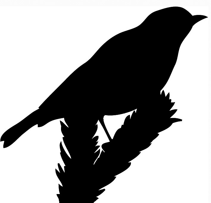 free eagle silhouette clip art - photo #28