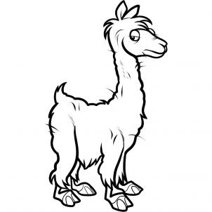 How to Draw an Alpaca, Alpaca, Step by Step, Pets, Animals, FREE ...