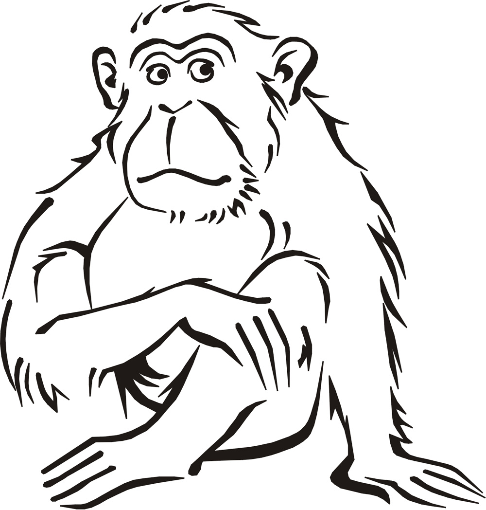 Cartoon Monkey Pictures | clip art, clip art free, clip art ...