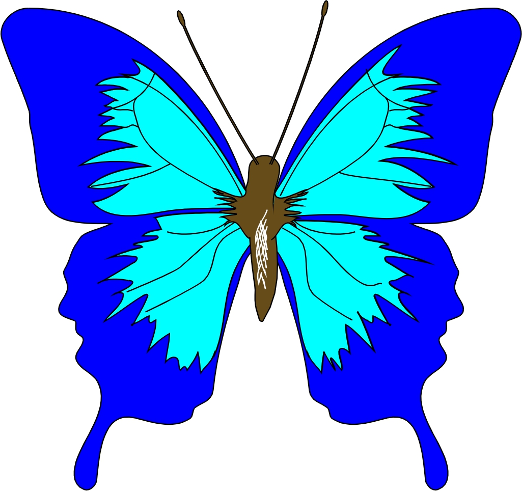 Green Butterfly Cartoon Images & Pictures - Becuo